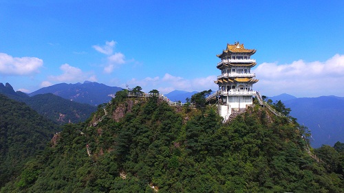 【粵來粵好百千萬】 種嶺南土特產(chǎn)系列：九龍豆腐