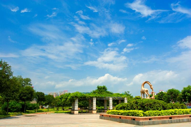 “圍捕雪豹”“漂流小孩哥大鬧幼兒園”等都是謠言！10起網(wǎng)絡(luò)謠言案件公布