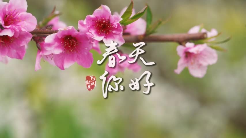 你好，韶關(guān)