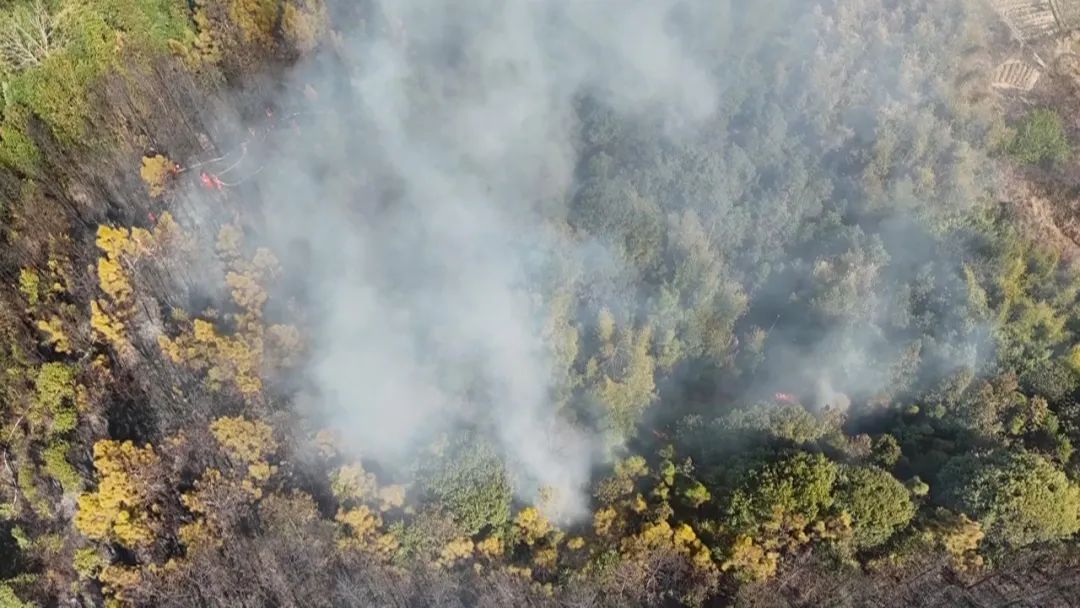 又起山火！又是祭祖時發(fā)生！韶關(guān)兩名村民被帶走